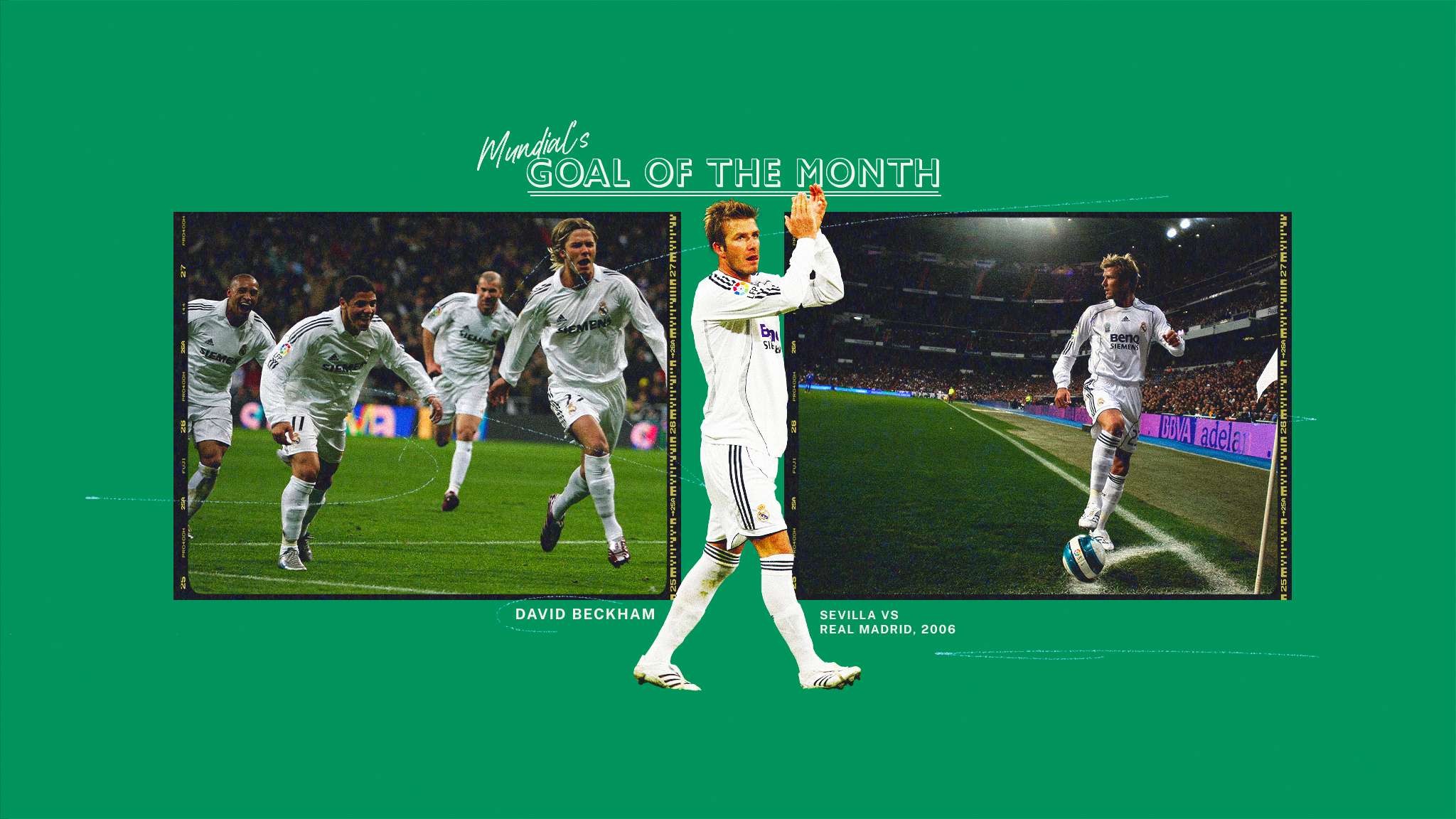 他們擁有豐 他們擁有豐